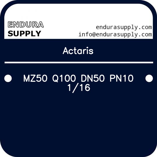 actaris-mz50-q100-dn50-pn10-116