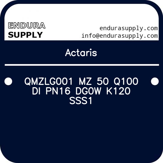actaris-qmzlg001-mz-50-q100-di-pn16-dg0w-k120-sss1