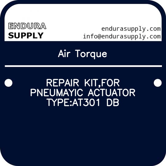 air-torque-repair-kitfor-pneumayic-actuator-typeat301-db