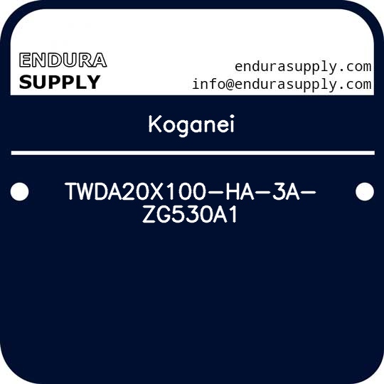 koganei-twda20x100-ha-3a-zg530a1