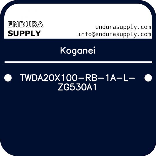 koganei-twda20x100-rb-1a-l-zg530a1