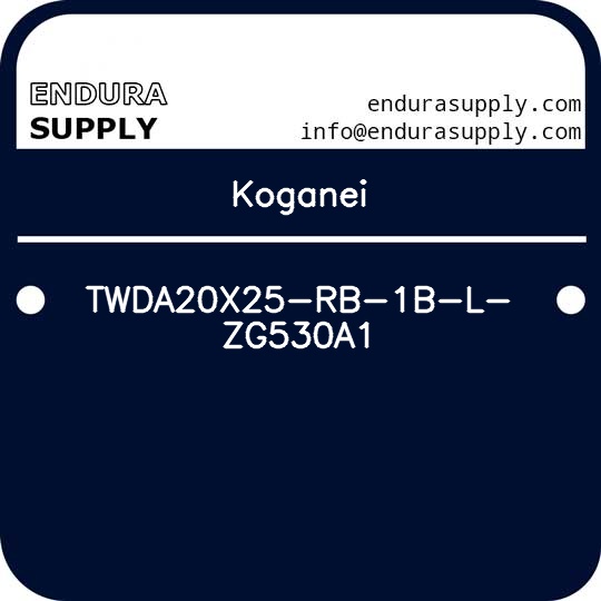 koganei-twda20x25-rb-1b-l-zg530a1