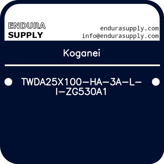 koganei-twda25x100-ha-3a-l-i-zg530a1
