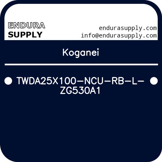 koganei-twda25x100-ncu-rb-l-zg530a1
