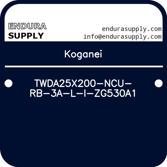 koganei-twda25x200-ncu-rb-3a-l-i-zg530a1