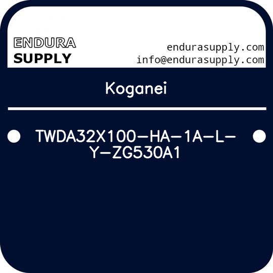 koganei-twda32x100-ha-1a-l-y-zg530a1
