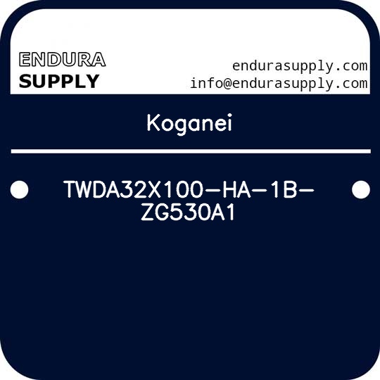 koganei-twda32x100-ha-1b-zg530a1
