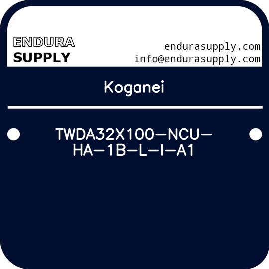 koganei-twda32x100-ncu-ha-1b-l-i-a1