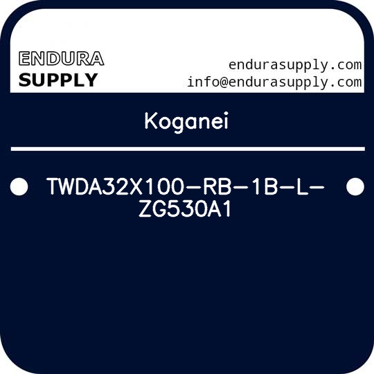 koganei-twda32x100-rb-1b-l-zg530a1