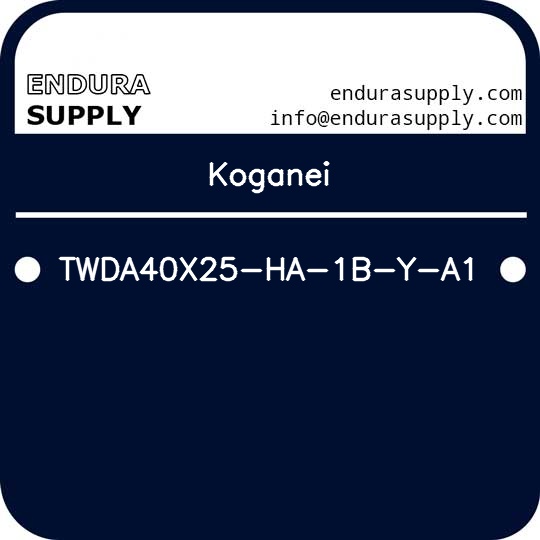 koganei-twda40x25-ha-1b-y-a1