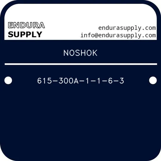 noshok-615-300a-1-1-6-3