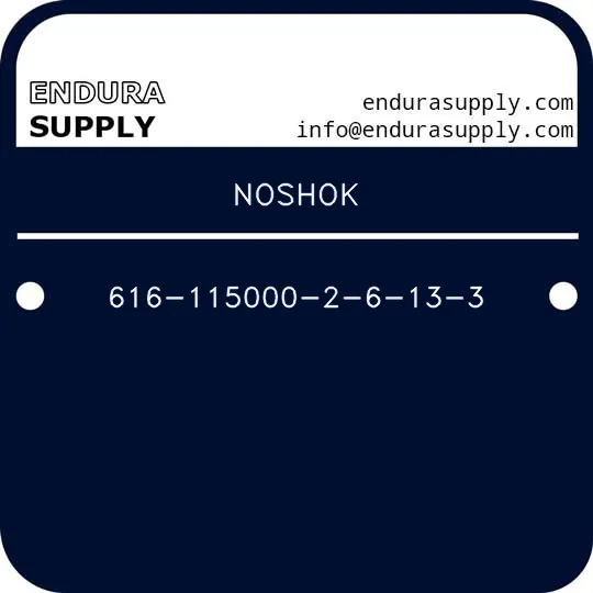 noshok-616-115000-2-6-13-3