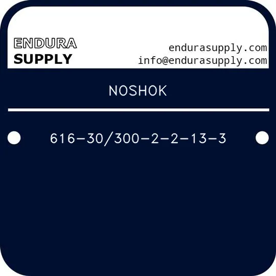 noshok-616-30300-2-2-13-3