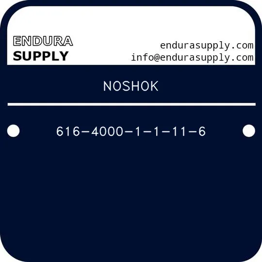 noshok-616-4000-1-1-11-6