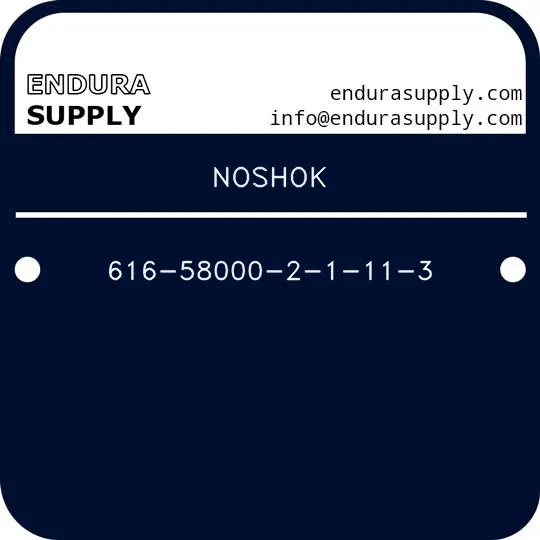 noshok-616-58000-2-1-11-3