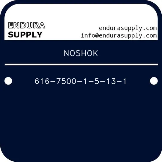 noshok-616-7500-1-5-13-1