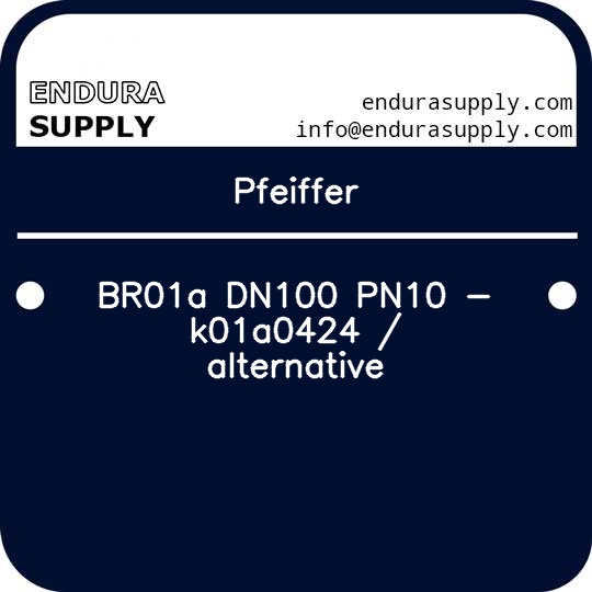 pfeiffer-br01a-dn100-pn10-k01a0424-alternative
