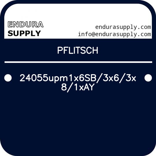 pflitsch-24055upm1x6sb3x63x81xay