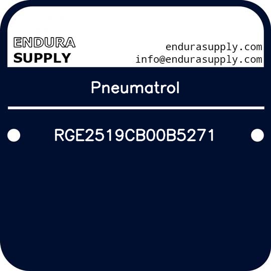 pneumatrol-rge2519cb00b5271