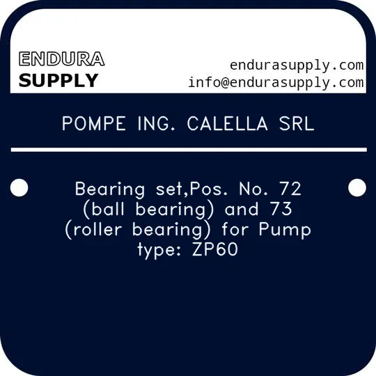 pompe-ing-calella-srl-bearing-setpos-no-72-ball-bearing-and-73-roller-bearing-for-pump-type-zp60