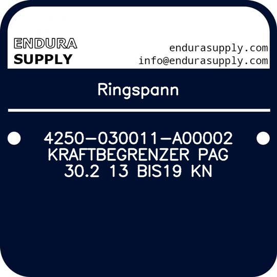 ringspann-4250-030011-a00002-kraftbegrenzer-pag-302-13-bis19-kn